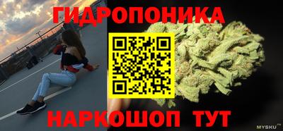 ГАЛЛЮЦИНОГЕННЫЕ ГРИБЫ Коммунар